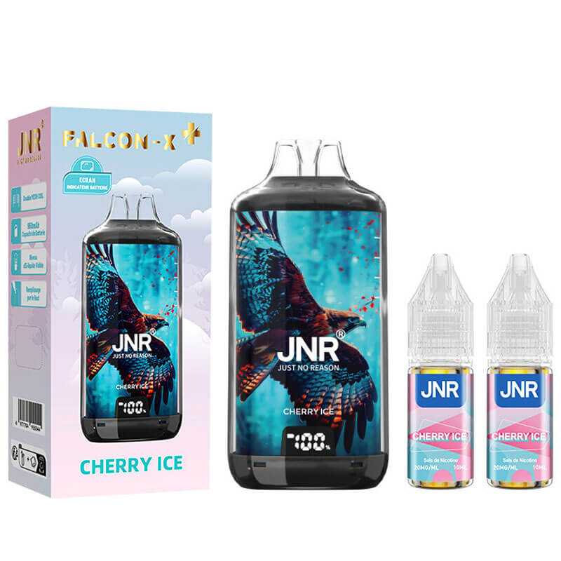 JNR Falcon-X 28000 PUFFS, Rechargeable, Certifiée TPD, 2% nicotine